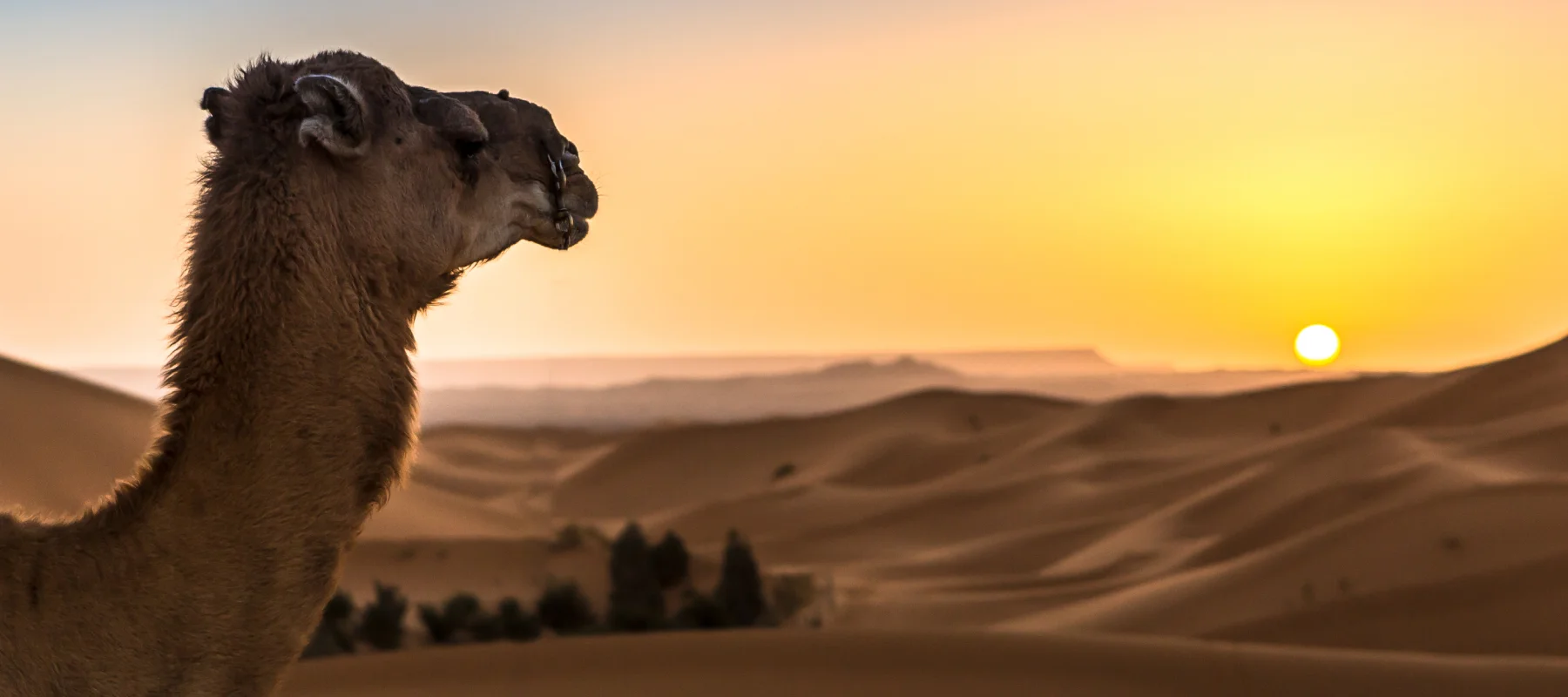 Morocco